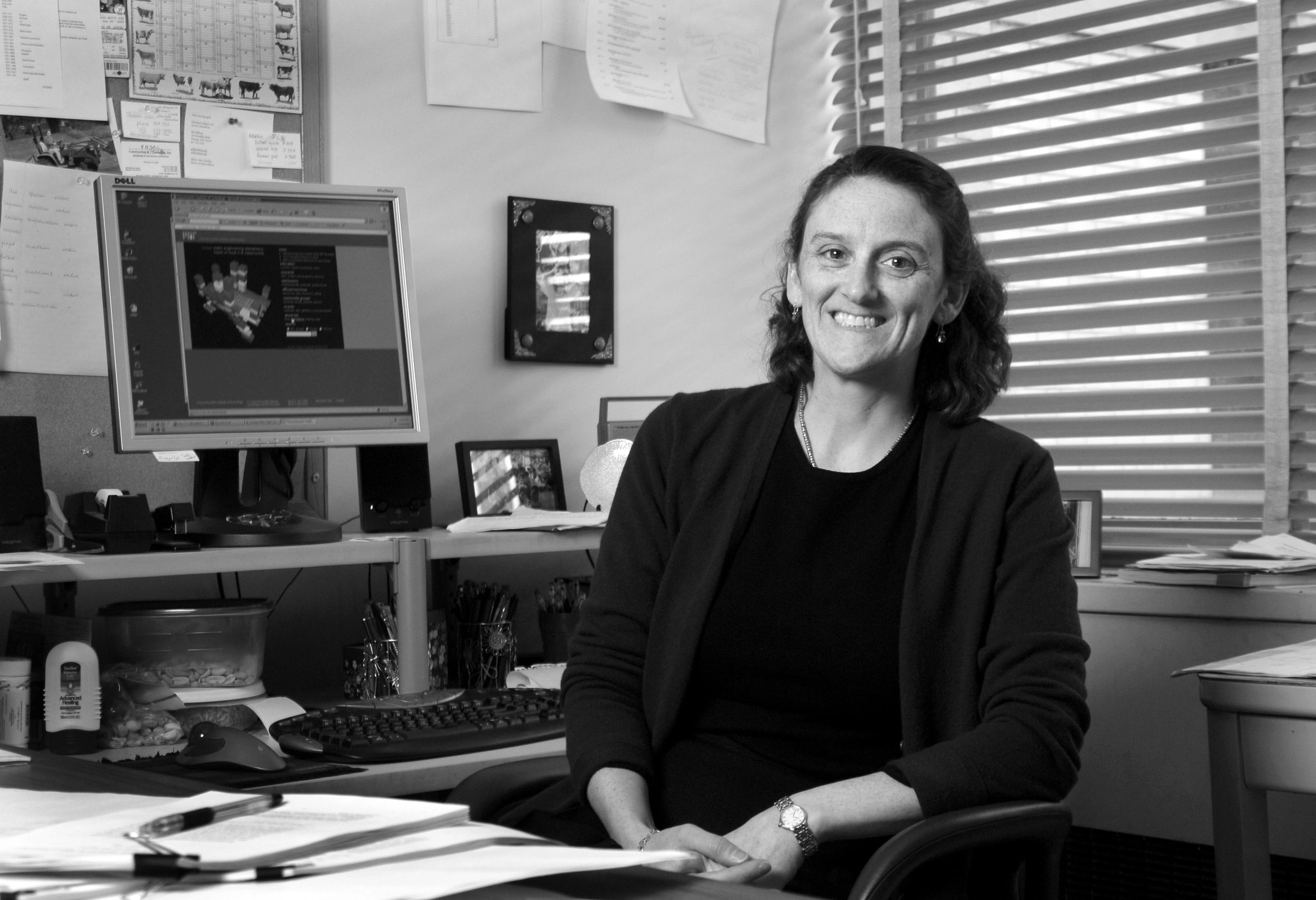 Ellison Sara Fisher Data Analysis For Social Scientists A Foundational Crash Course